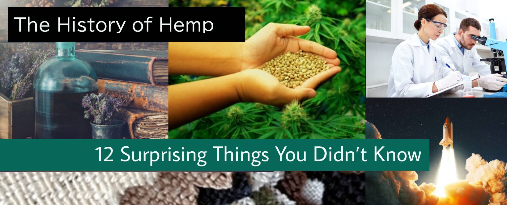 History of Hemp
